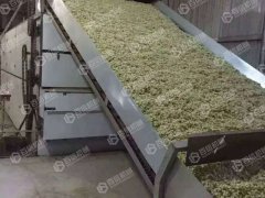 槐花烘幹機現場