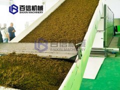 茶葉渣烘幹現場