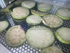 熱泵茄子烘幹現場