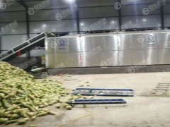不鏽鋼蔬菜烘幹機