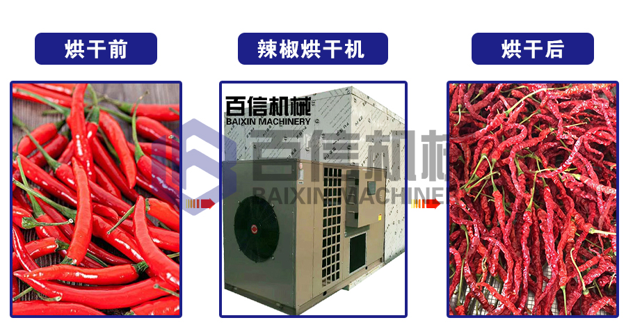 熱泵辣椒烘幹機