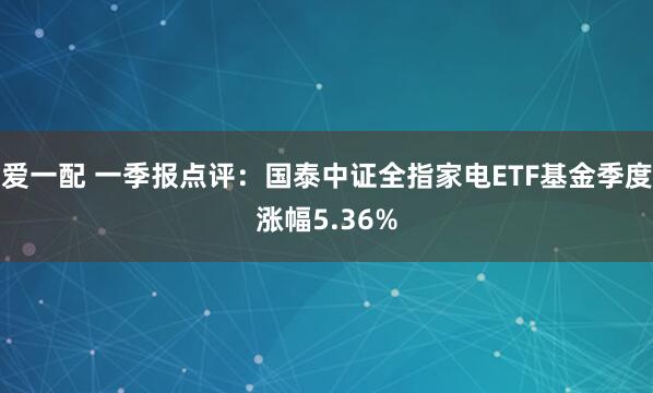 爱一配 一季报点评：国泰中证全指家电ETF基金季度涨幅5.36%